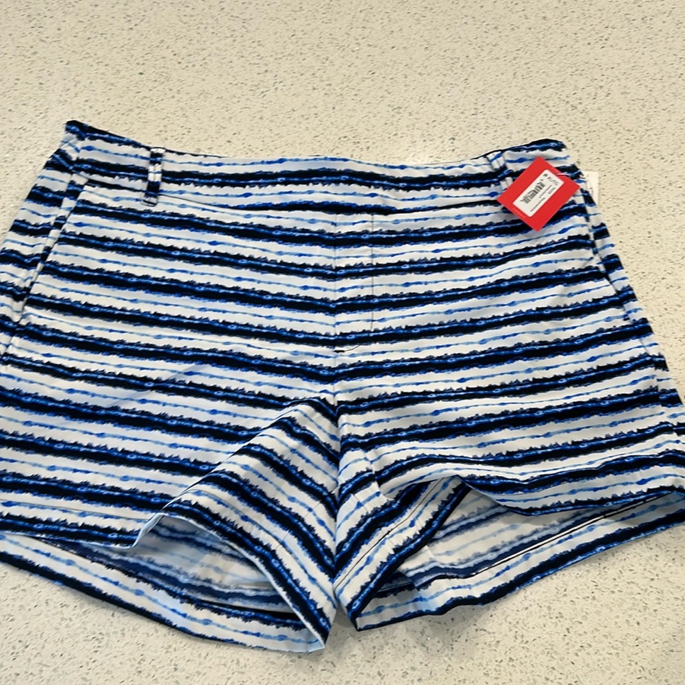 Spanx Sunshine Short 4 inch, Blue Painted Stripe, XL